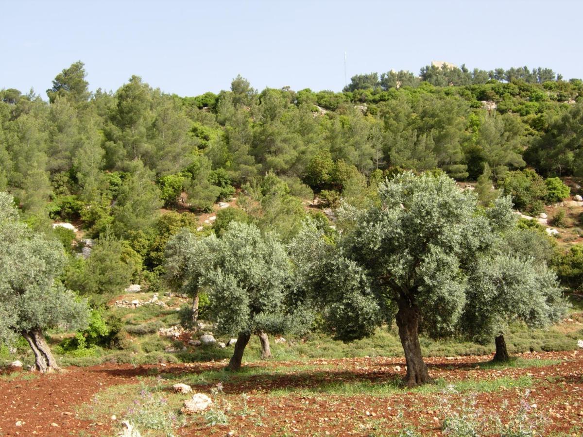 Ajloun Hotel Exterior foto