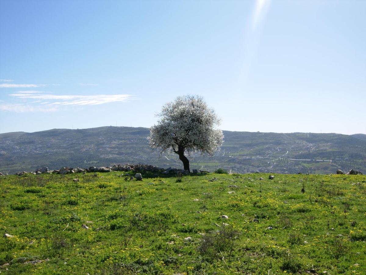 Ajloun Hotel Exterior foto